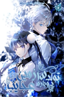 Rebirth of the Wonderland